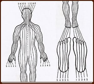 Abbildung "Querzonen"
